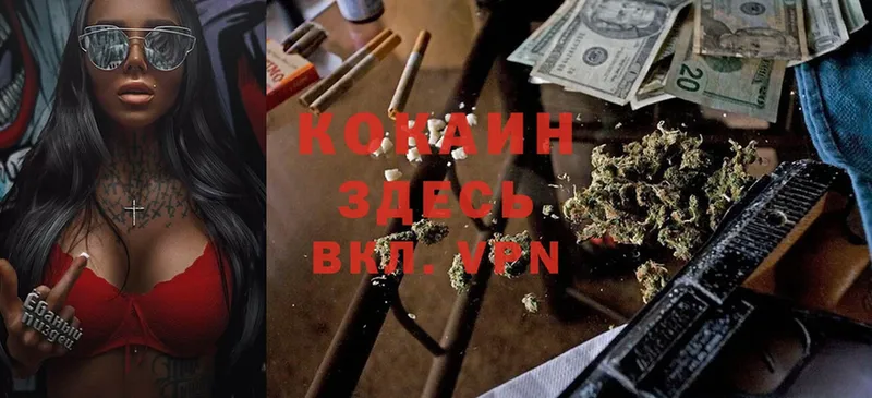 где продают   Куровское  Кокаин 99% 